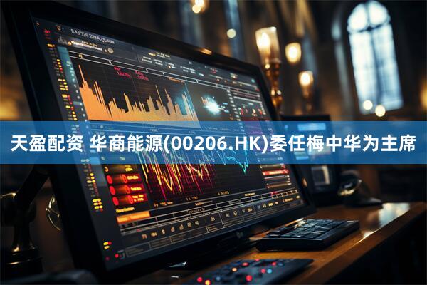 天盈配资 华商能源(00206.HK)委任梅中华为主席