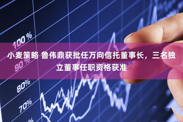 小麦策略 鲁伟鼎获批任万向信托董事长，三名独立董事任职资格获准