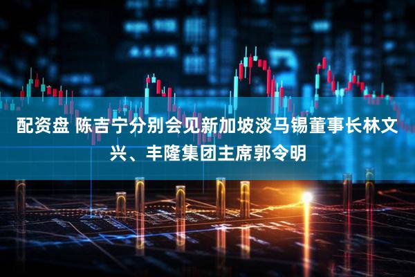 配资盘 陈吉宁分别会见新加坡淡马锡董事长林文兴、丰隆集团主席郭令明