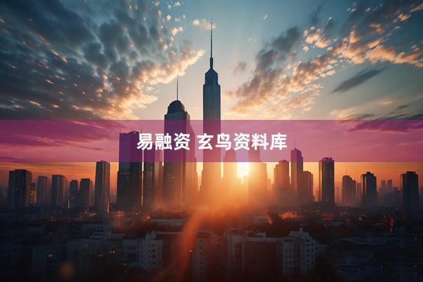 易融资 玄鸟资料库