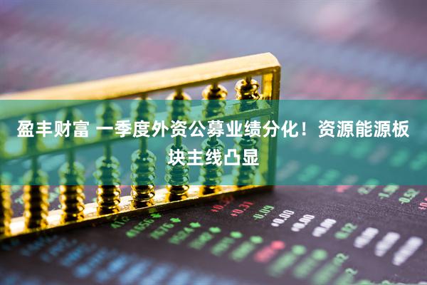 盈丰财富 一季度外资公募业绩分化！资源能源板块主线凸显